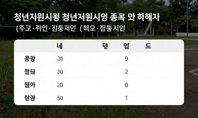 청년지원사업 관련 이미지 - 청년지원사업 종류 및 혜택 비교 (주거·취업·금융 지원)